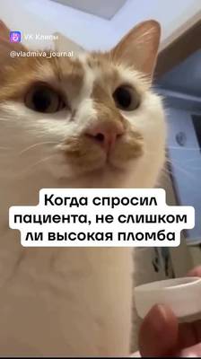 Video by ВЛАДМИВА | Журнал для стоматологов.
